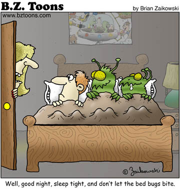 bedbugs