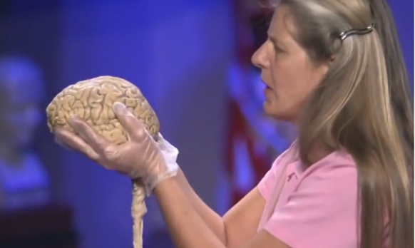 Screen Shot 2014-06-17 at 11.43.18