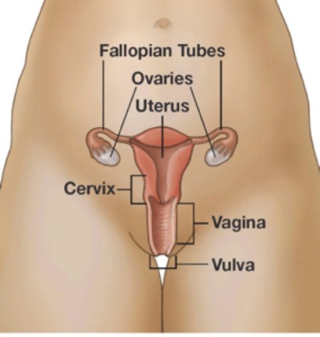 uterine cancer