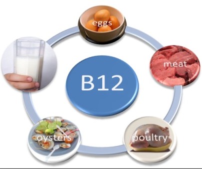 vitb12