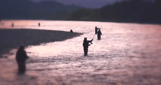 thomas hellum slow tv