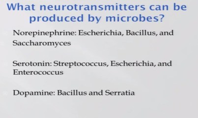 gut bacteria and brain effects